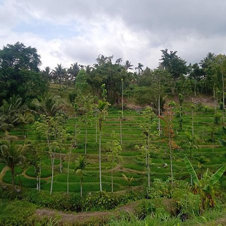 Tetebatu Sunrise Homestay Экстерьер фото