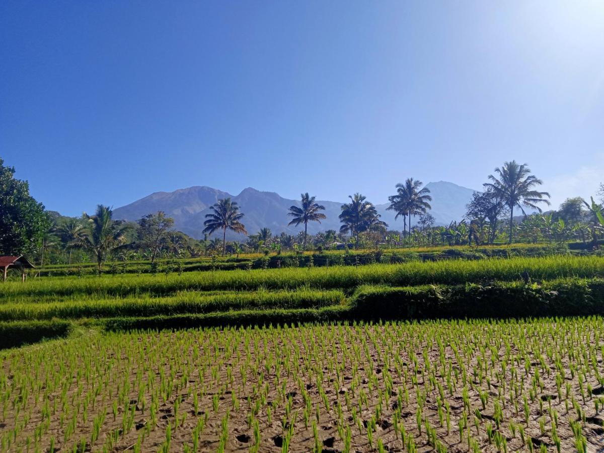 Tetebatu Sunrise Homestay Экстерьер фото