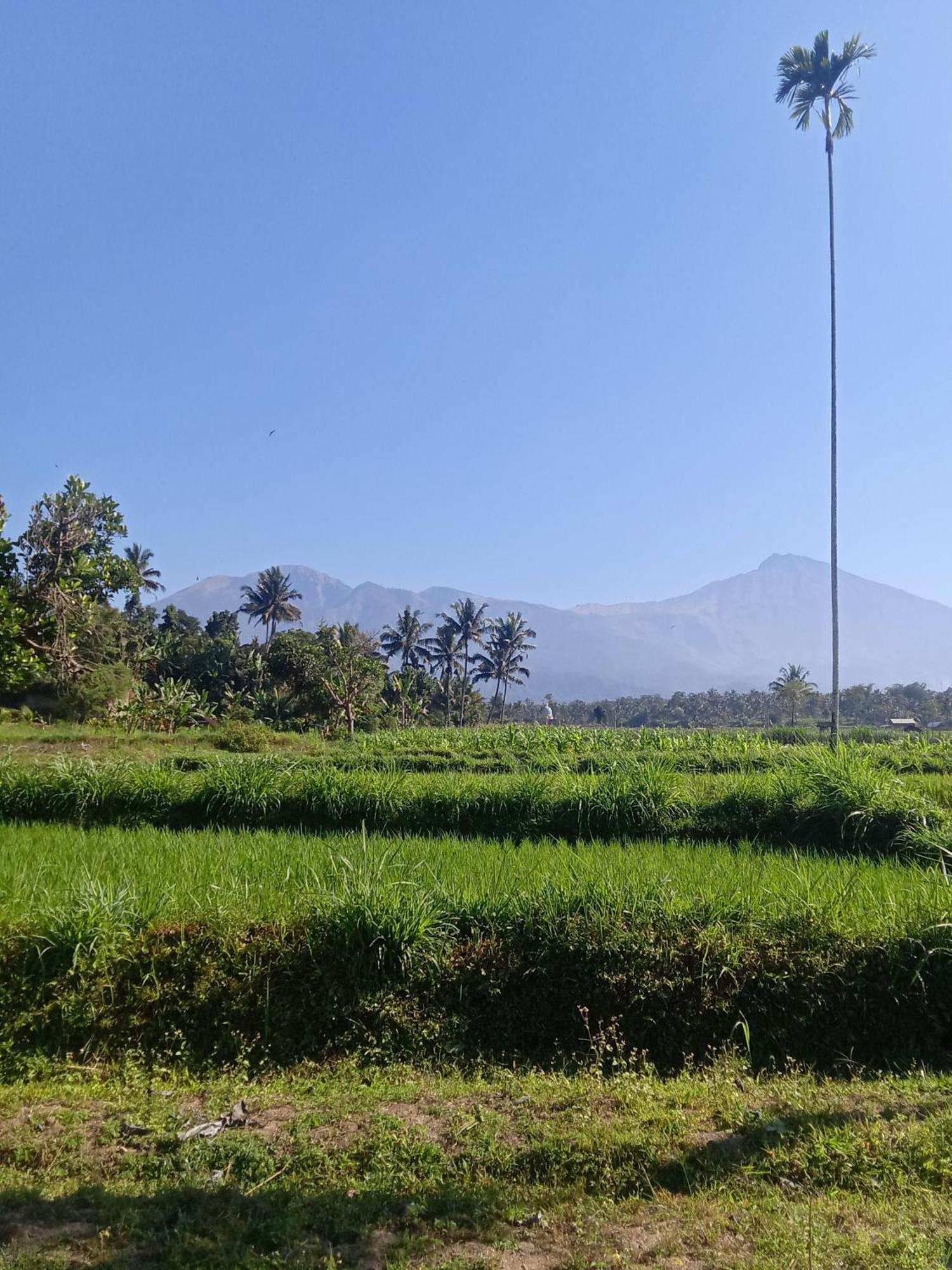 Tetebatu Sunrise Homestay Экстерьер фото