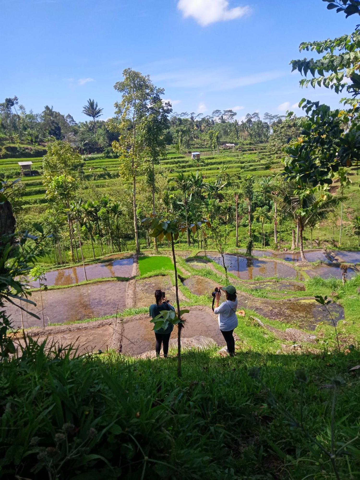 Tetebatu Sunrise Homestay Экстерьер фото